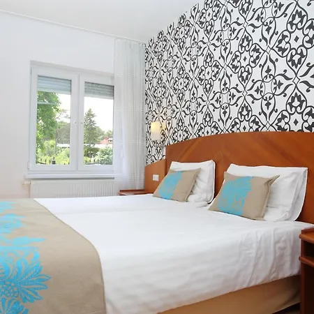 Domaro Guest house *